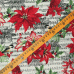 Рождественская птица Кардинал и Пуансеттия (Poinsettia)